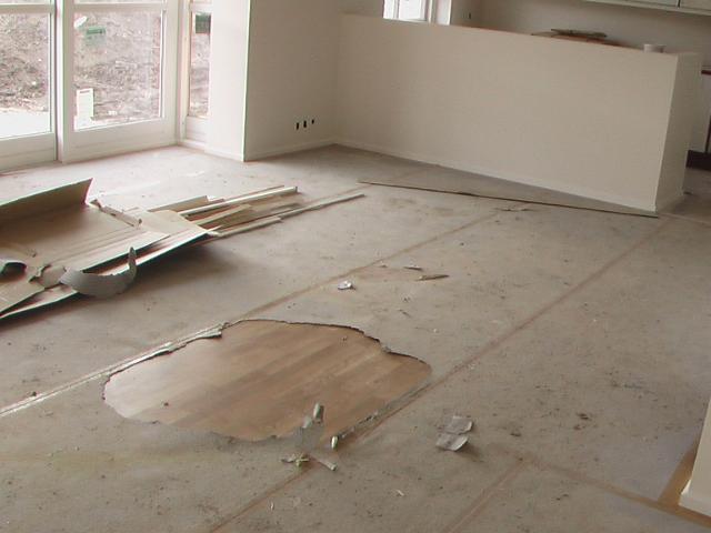 04-03-2004 14-19-38.JPG